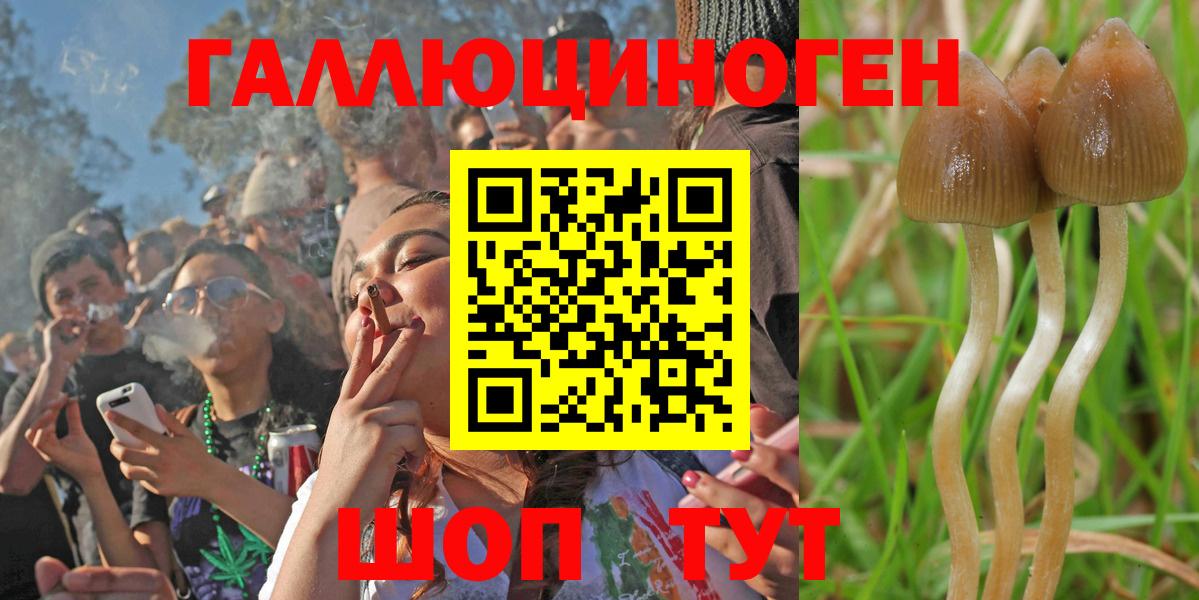 Керчь  Псилоцибиновые грибы GOLDEN TEACHER  купить   Вход с VPN  Галлюциногенные грибы Magic Shrooms 