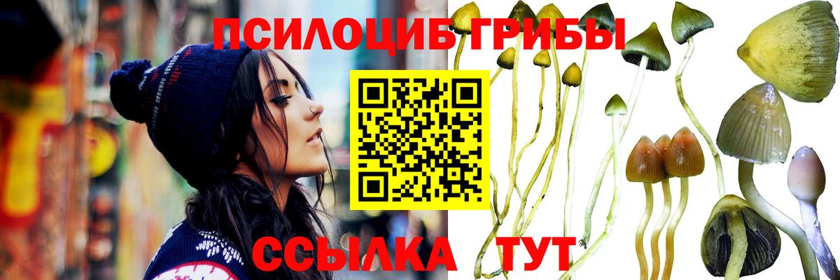 Псилоцибиновые грибы GOLDEN TEACHER Керчь